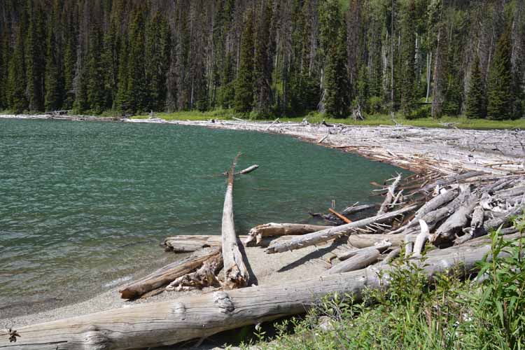 log-jammed lake duffy